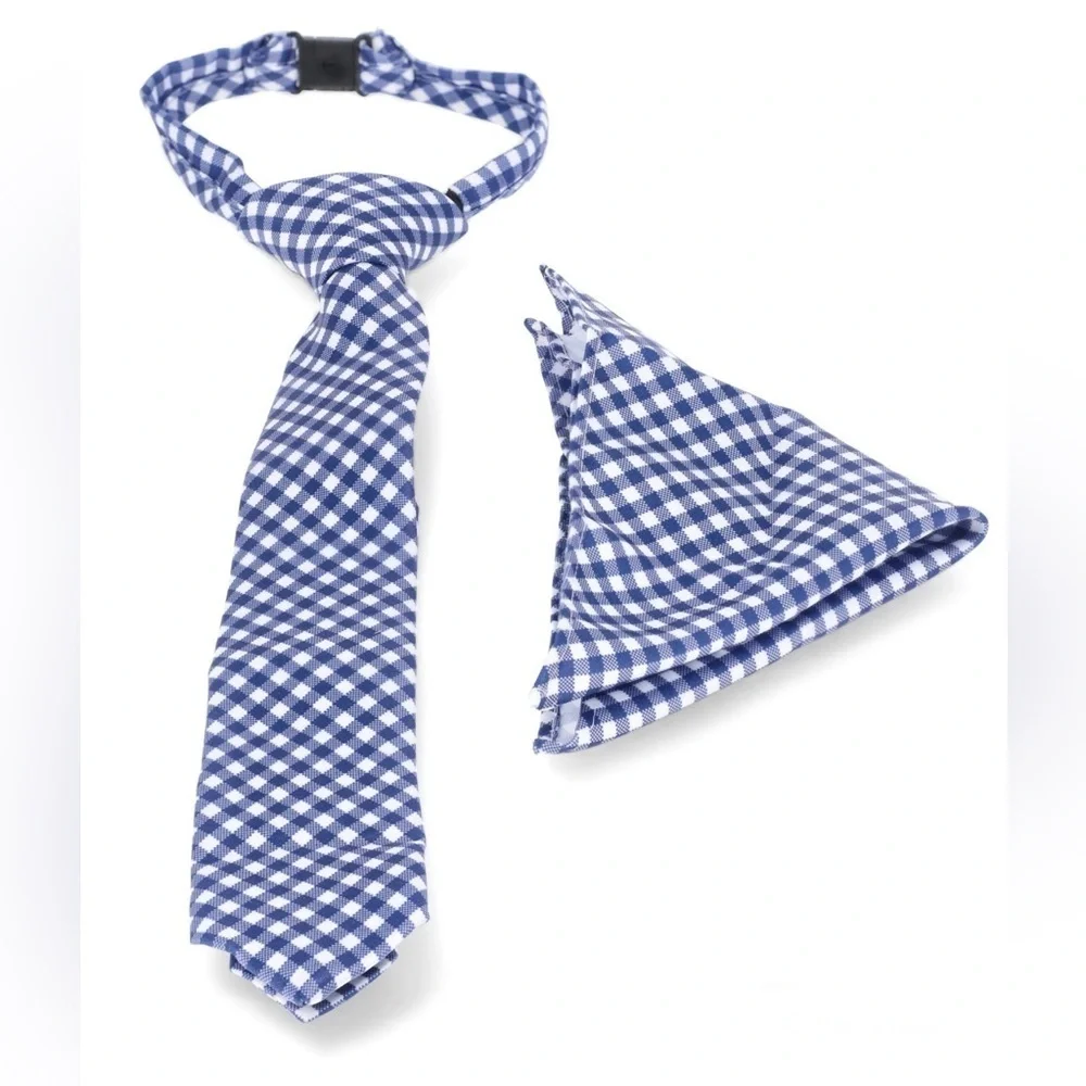 Boys Blue & White Necktie and Pocket Square Set, 2-Piece
